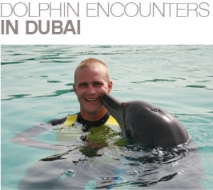 Top Ten Animal Experiences in Dubai